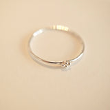 Sterling silver ing .